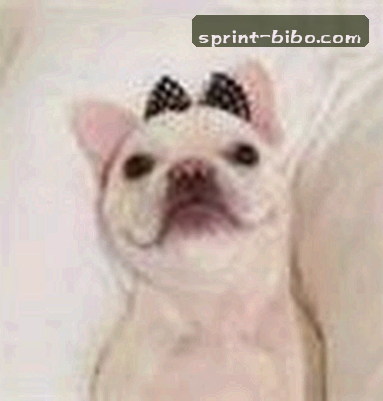 李薇